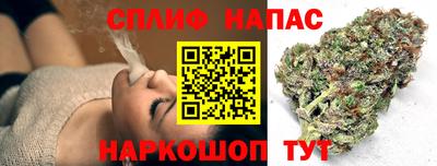 прущие грибы Будённовск