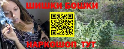 прущие грибы Будённовск