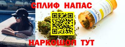 прущие грибы Будённовск